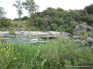 ndolito-24-05-2014 20-46-22